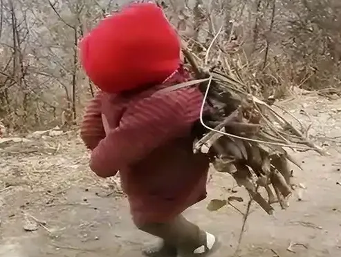 捡到的小孩可以收养吗